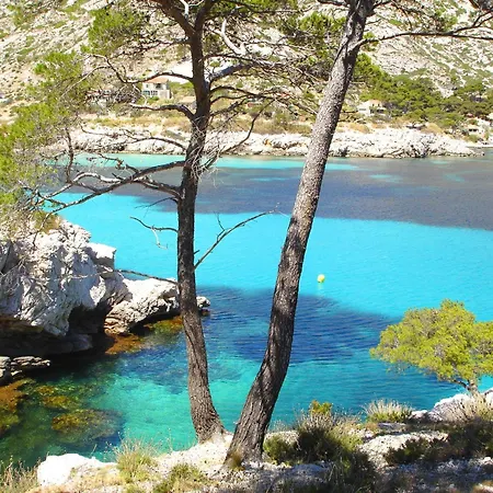 Chez Giulia Cassis